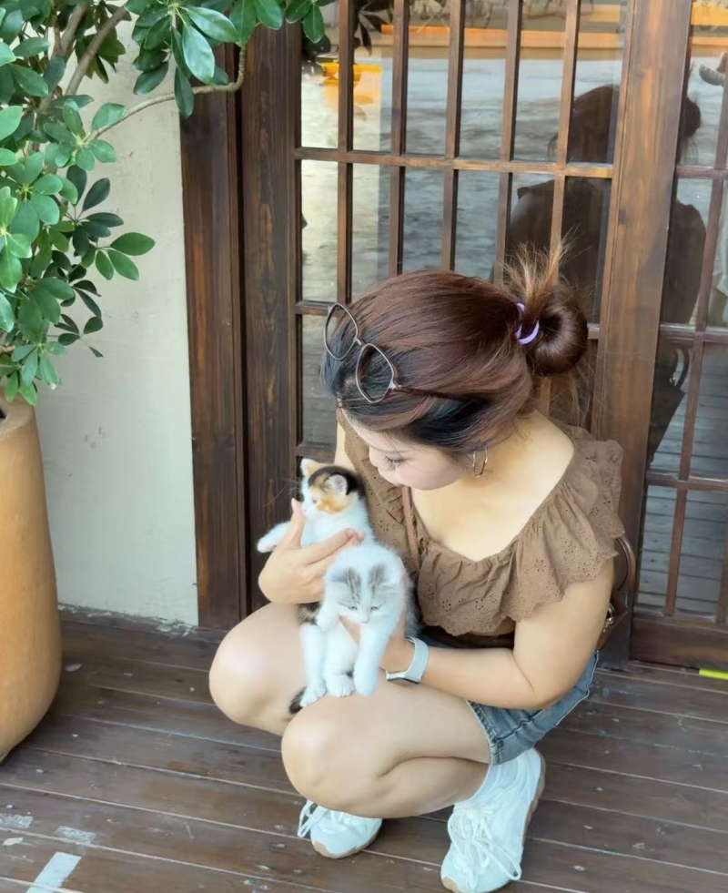 凌霄凌芹